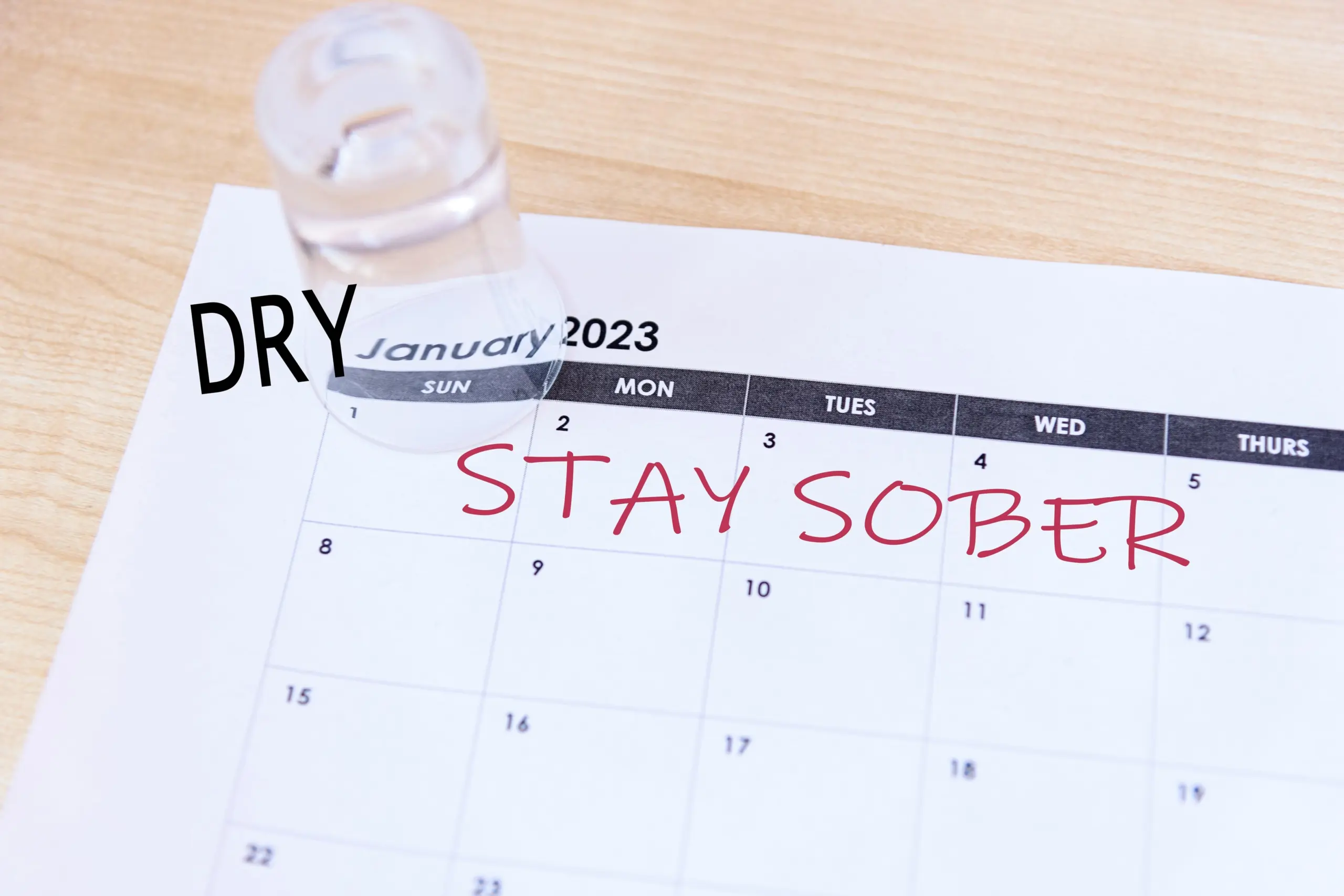 visual habit tracker supporting long-term recovery goals