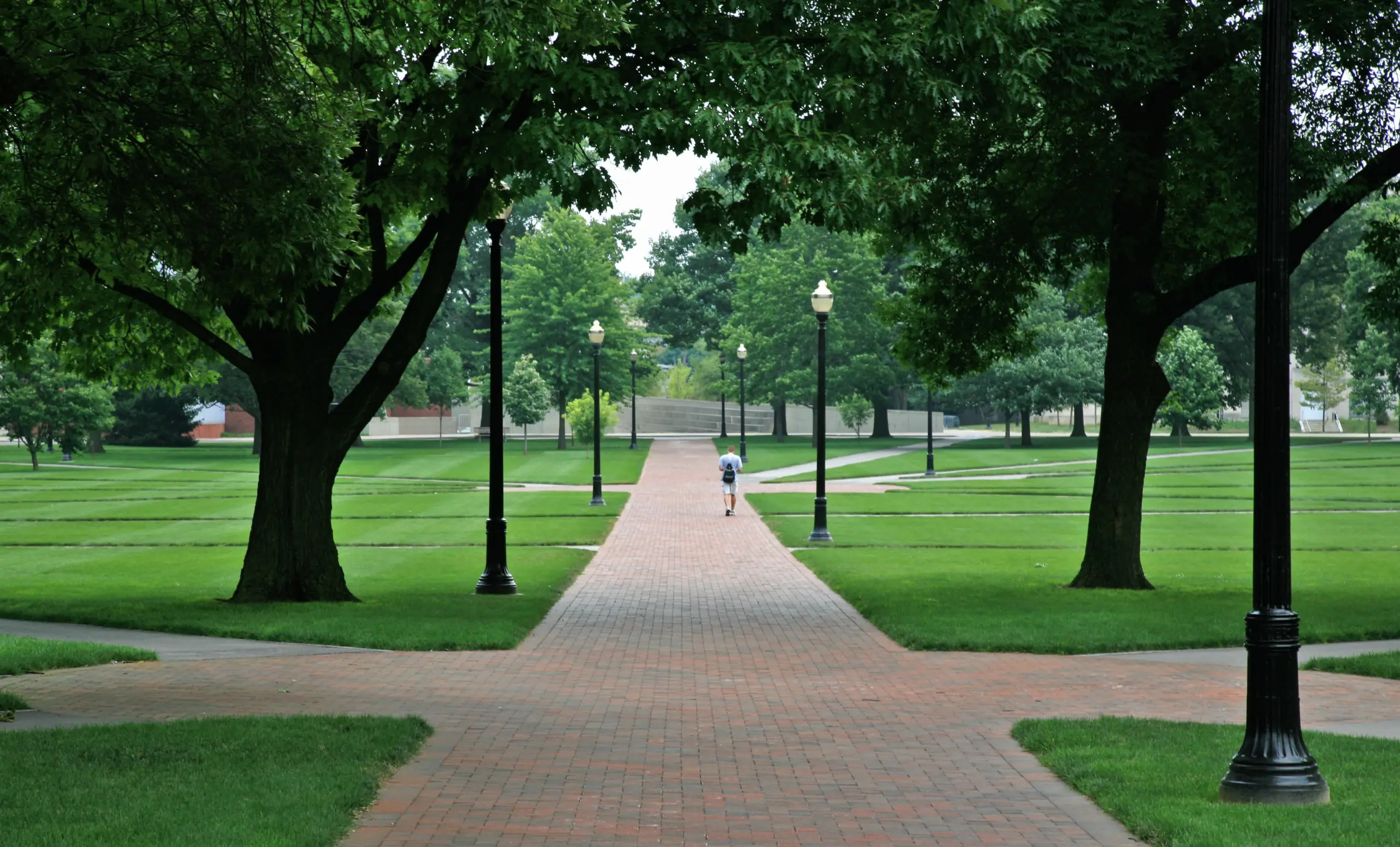 Person in recovery walking in nature to support mental clarity